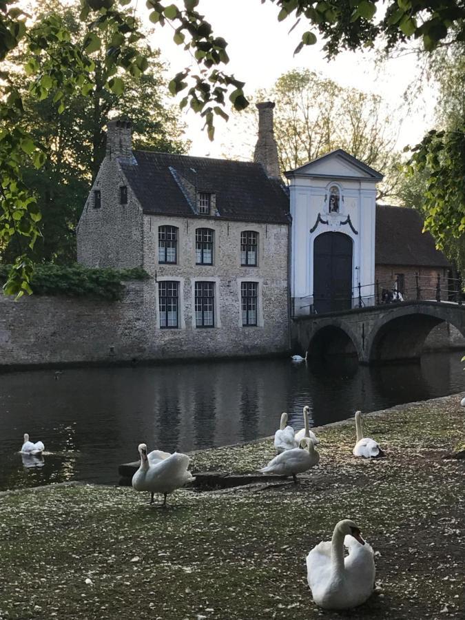 The Bank 1869 - Unique Guestrooms In The Historic Center Of Bruges Esterno foto